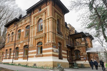 Внешний вид