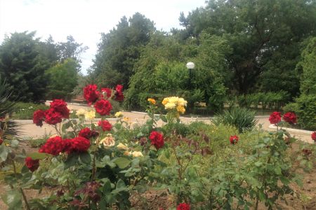 Корпус Приморский