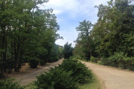 Корпус Приморский