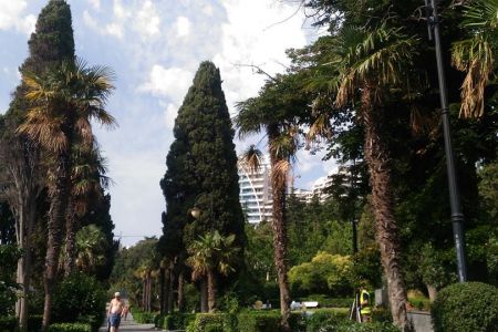 «Левант» отель