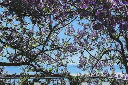 «Левант» отель