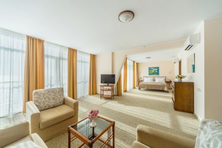 студия 2-местный (1)