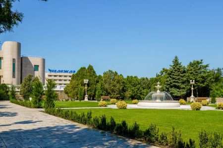 Внешний вид