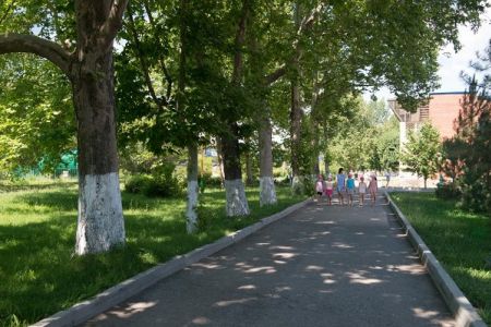 Внешний вид