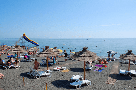 Внешний вид