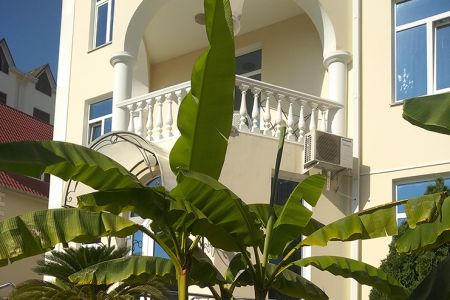 Внешний вид