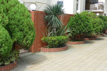 Внешний вид