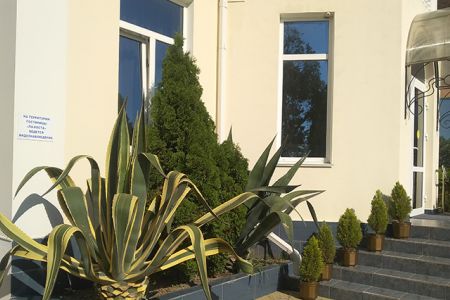 Внешний вид