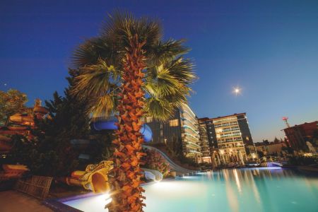 Внешний вид