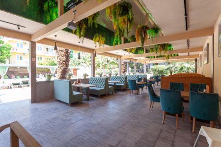 Внешний вид