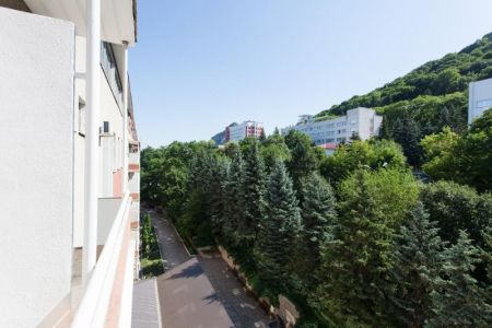 Территория