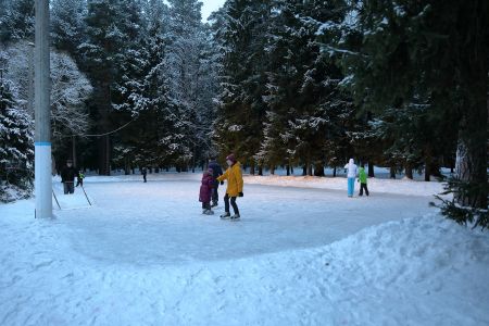 Внешний вид