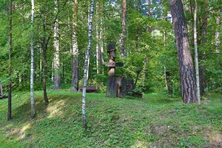 Внешний вид