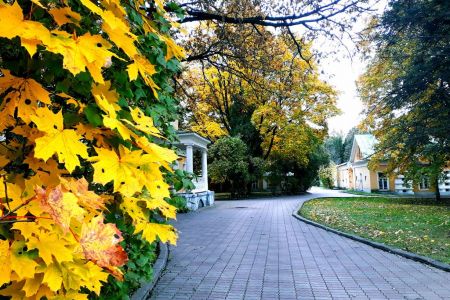 Территория