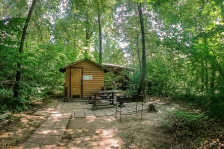 Территория