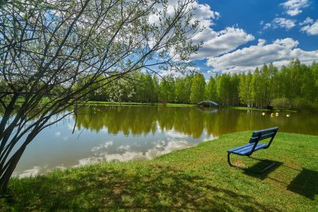 Внешний вид