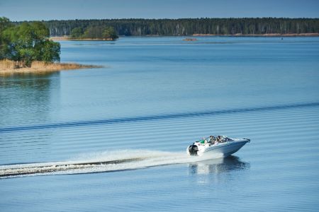 Внешний вид