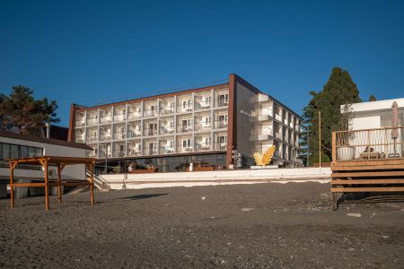 Внешний вид