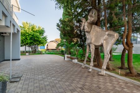 Внешний вид