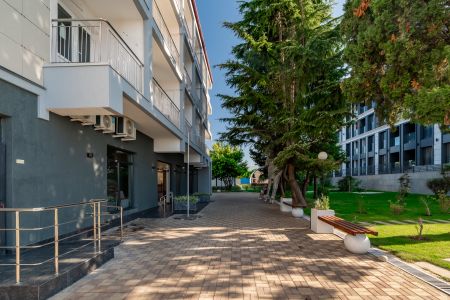 Внешний вид