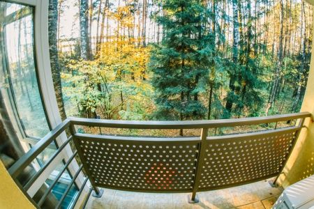 Делюкс 2-местный 1-комнатный (корпус №2 Лесной с балконом)