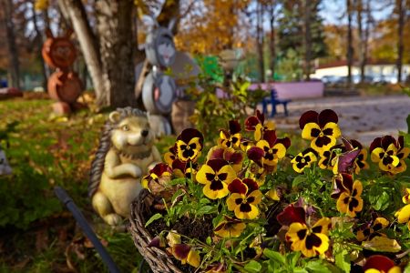 Внешний вид