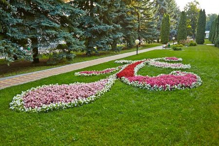 Внешний вид