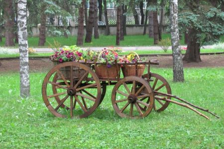 Внешний вид