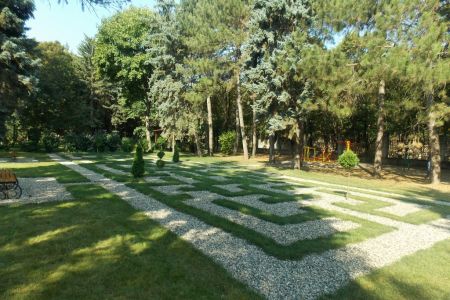 Внешний вид