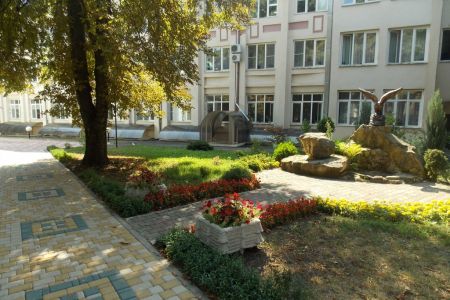 Внешний вид