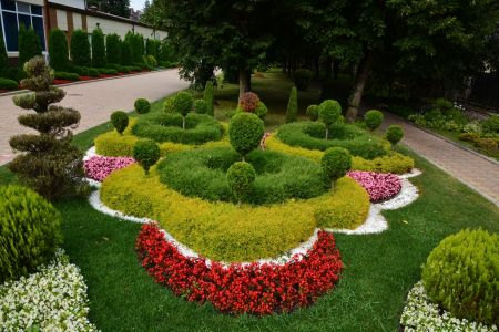 Внешний вид