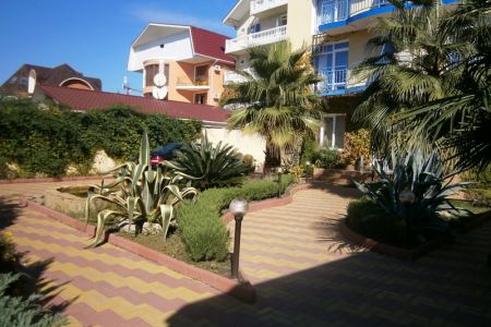 Внешний вид