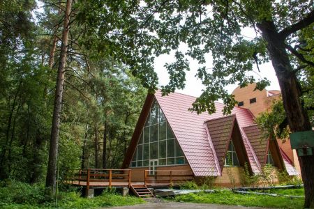 Внешний вид