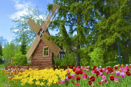 Территория