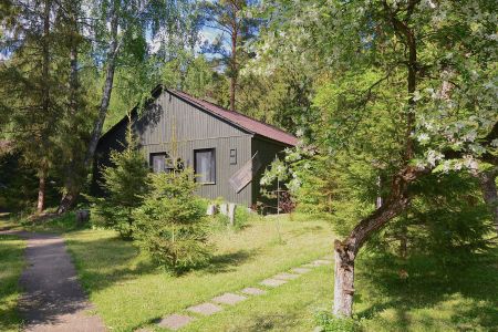 Территория