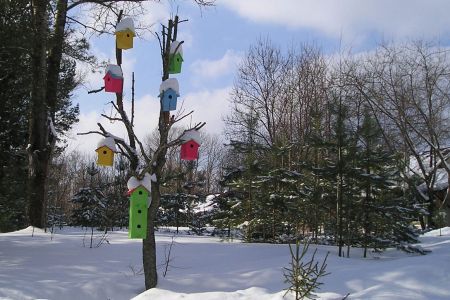 Территория