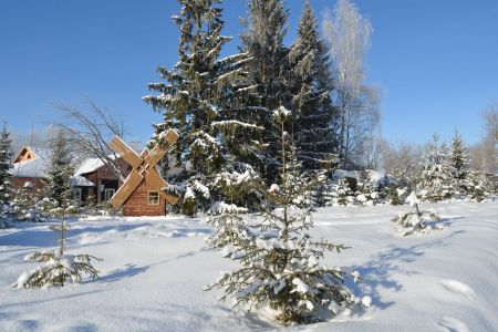 Территория