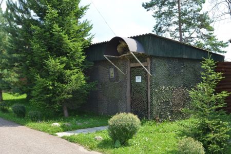 Территория