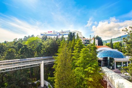 Внешний вид