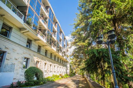 Внешний вид