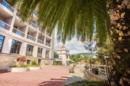 Внешний вид