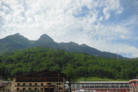 Внешний вид