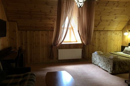 Стандартный 3-местный 1-комнатный (без балкона, корпус 1, мансарда)