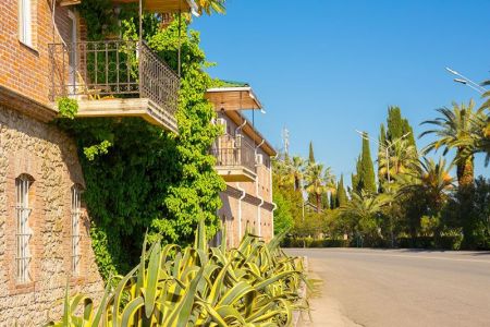 Внешний вид