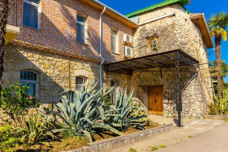 Внешний вид