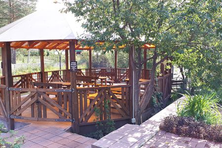 Внешний вид