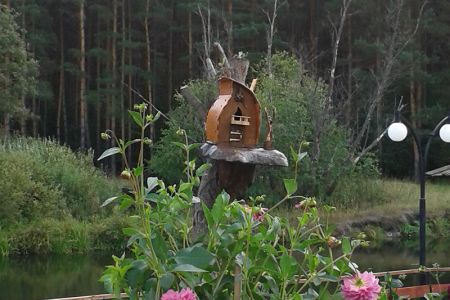 Внешний вид