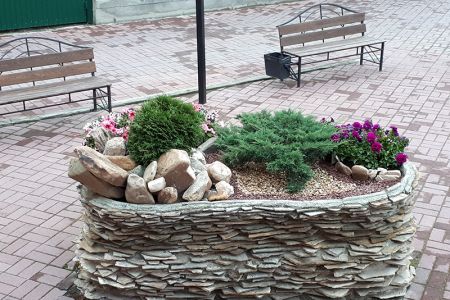 Внешний вид