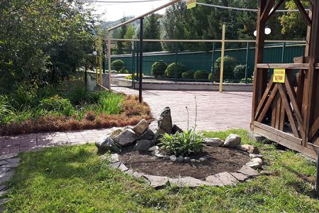 Внешний вид