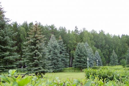 Территория